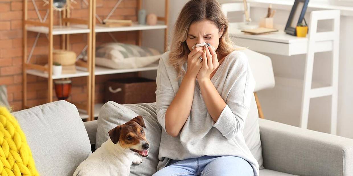 Virose: o que é, quais são os sintomas e como tratar?