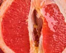 Libido: o que é? Onde vive? O que come?