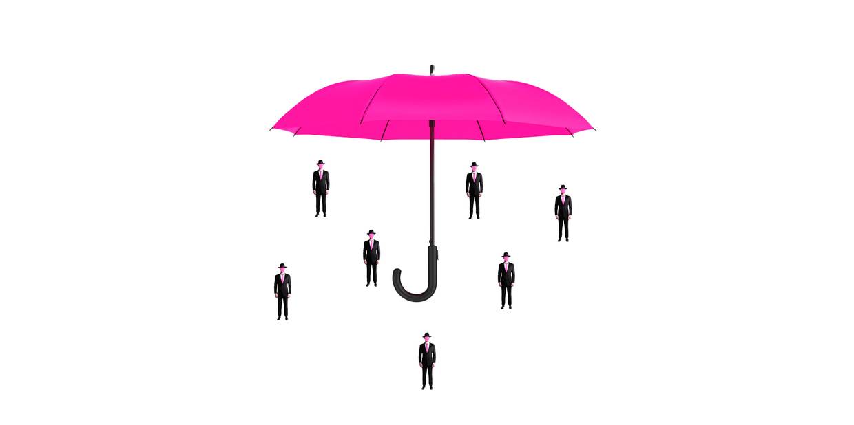 O que é estrutura matricial, tipos e como aplicar na empresa