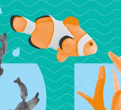Como saber a hora certa para uma transição de carreira
