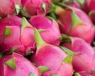 Conheça os benefícios da pitaya