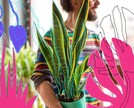 Cuidar de plantas faz bem para saúde. Veja os benefícios