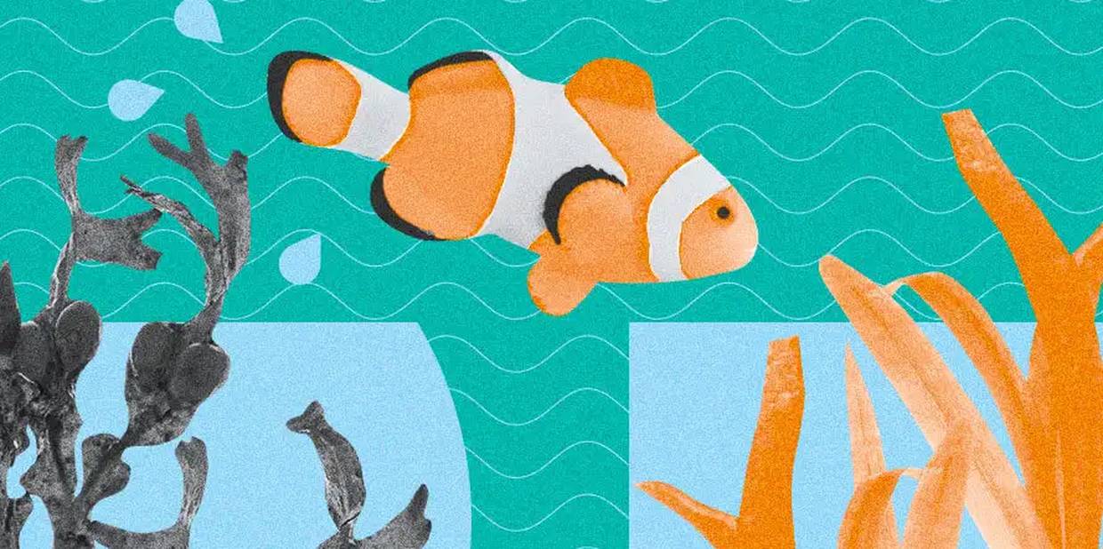 transição de carreira