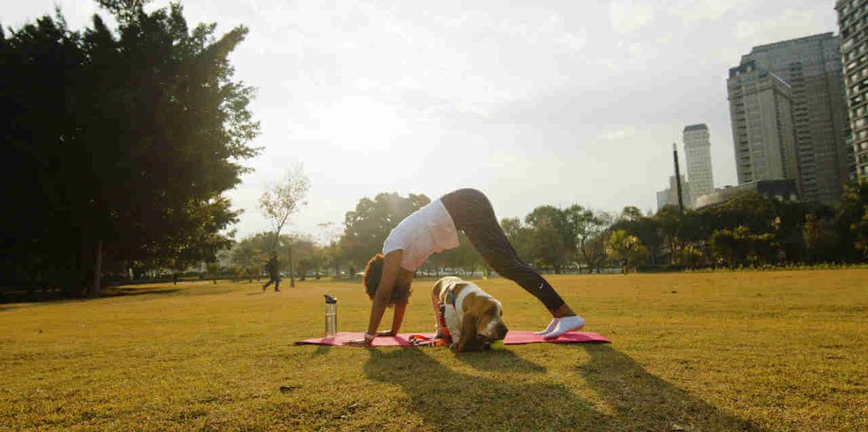 5 vantagens que só a Alice oferece para você