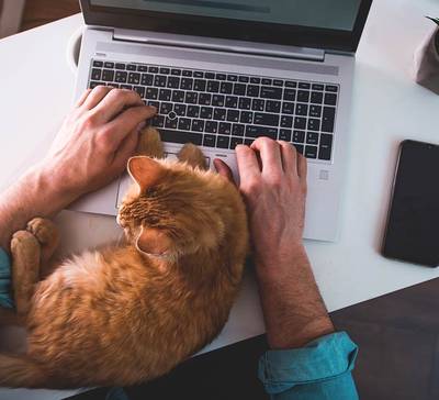 Por que a Alice escolheu o modelo de trabalho remote-first