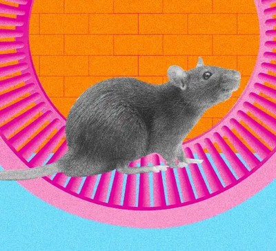 Exame ergométrico: o que é e quando fazer?