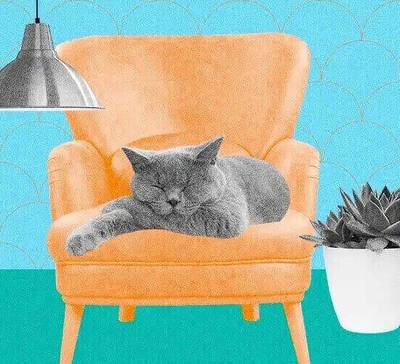 Qualidade do sono: o que é e como ter um sono saudável?