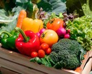Como a Alice revolucionou a alimentação dos membros?