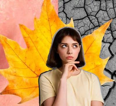 Baixa umidade do ar: Como lidar com o tempo seco? 9 dicas