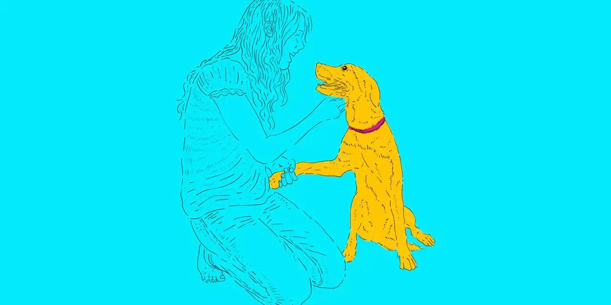 Benefícios dos animais para saúde