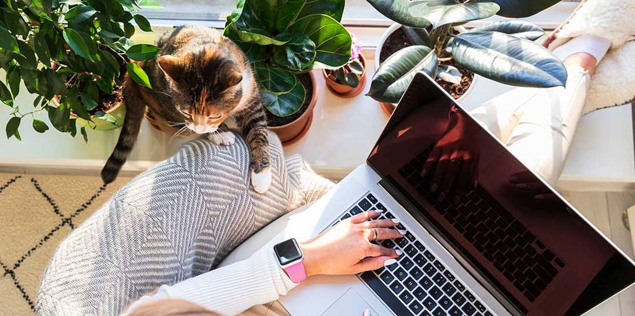 Saúde mental nas empresas