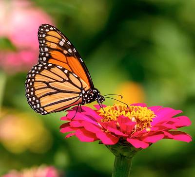 Employer Branding: o que é, por que investir e quais benefícios traz para sua empresa