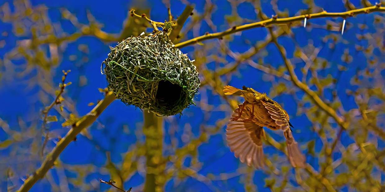 Quais os sintomas e como tratar a síndrome do ninho vazio?