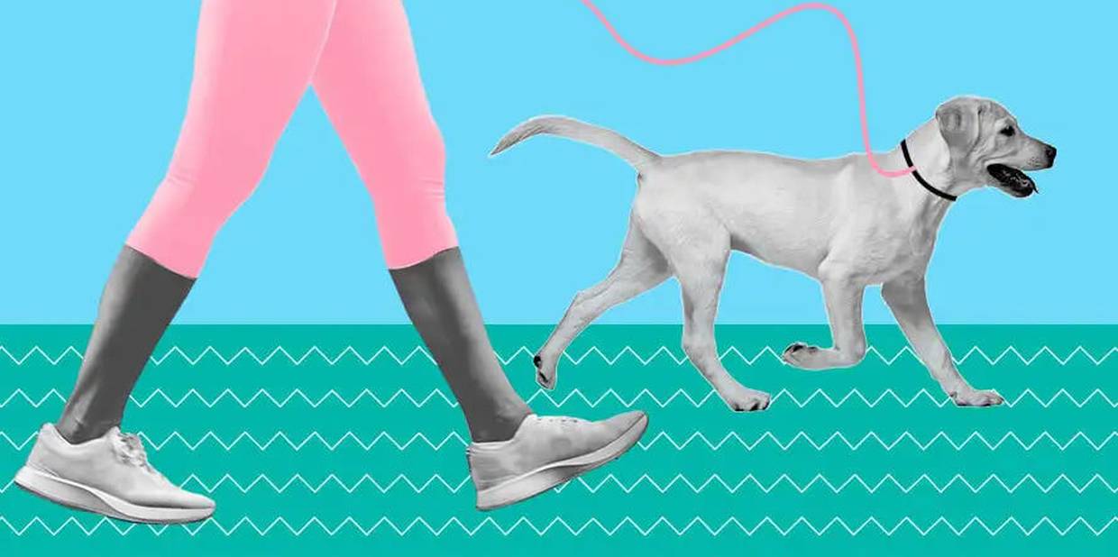 Benefícios da caminhada