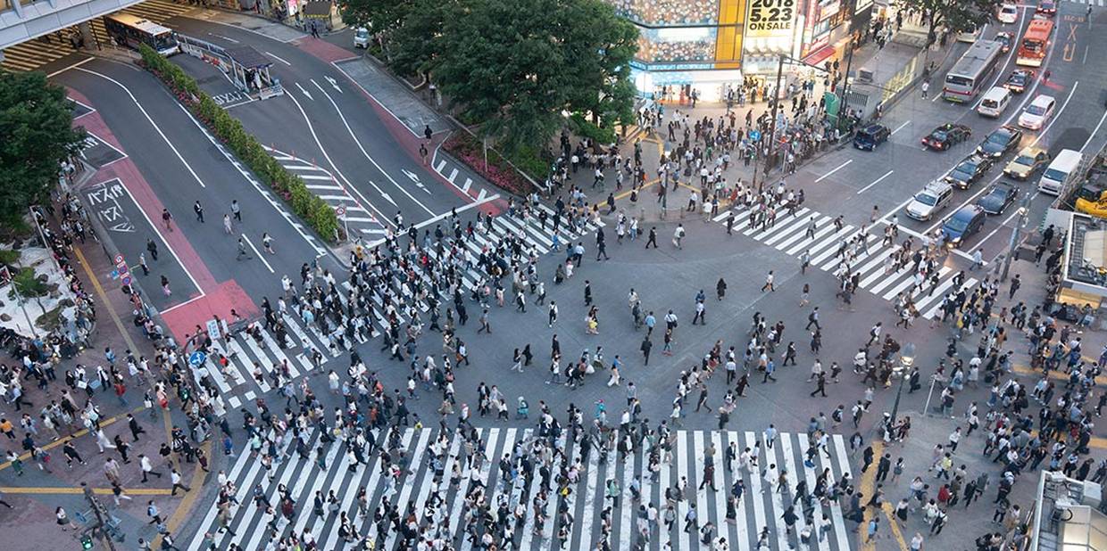 Plano de carreira em Y: quando investir em especialistas