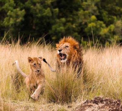 Como formar jovens lideranças