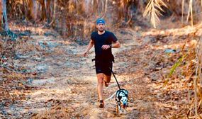 Correr com cachorro: da corrida ao canicross