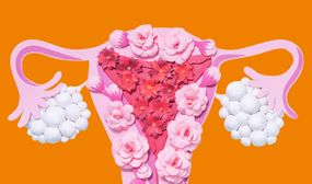 Progesterona: o que é e para que serve?
