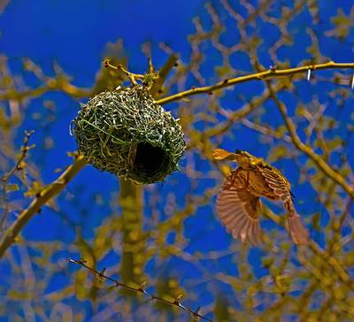 Quais os sintomas e como tratar a síndrome do ninho vazio?