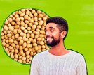 Consumo de soja por homens: o que diz a Ciência?