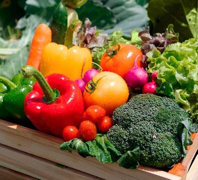 Como a Alice revolucionou a alimentação dos membros?