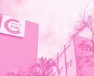 Comunidade de Saúde Alice cresce com hospital Luz Santo Amaro