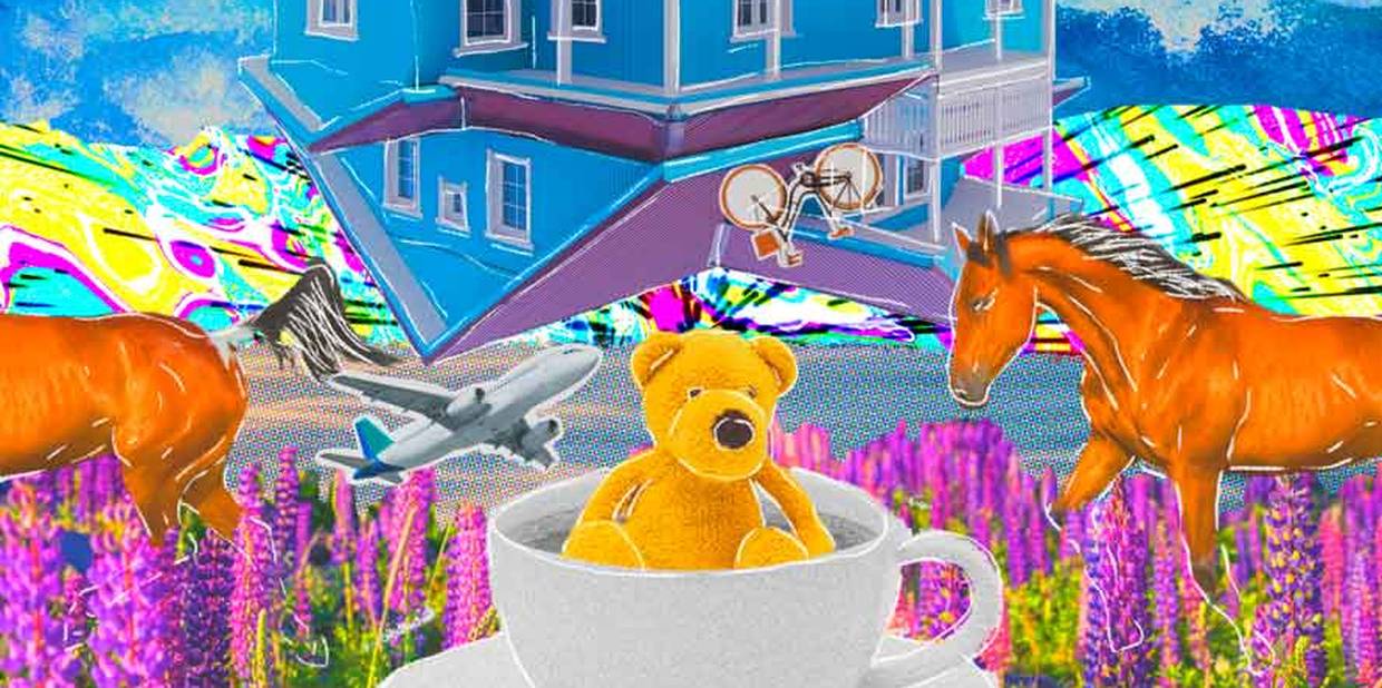 No enigma dos sonhos, uma ajuda para a realidade