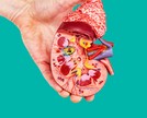 Exame de ureia: quando é indicado?