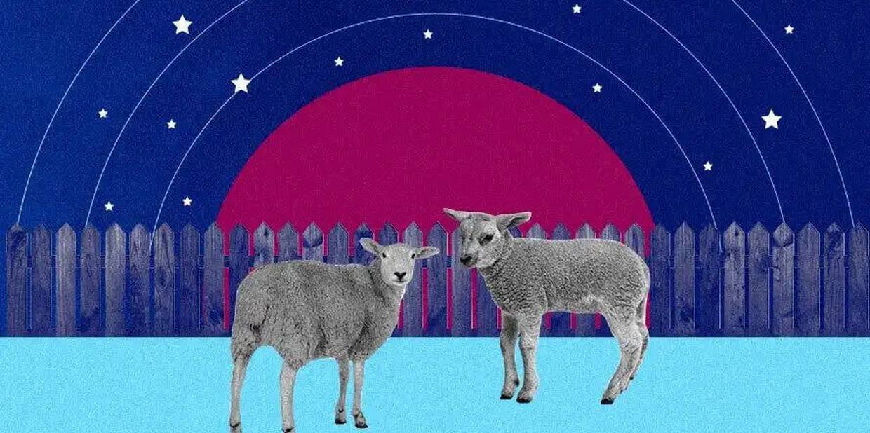 Dicas para dormir melhor