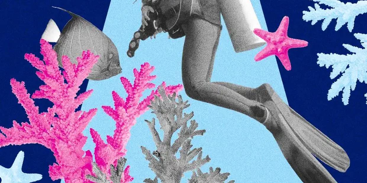 Endoscopia digestiva alta