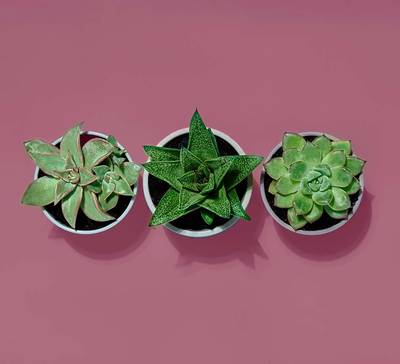 Como saber qual é a cobertura do seu Plano de Saúde?