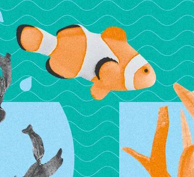 Como saber a hora certa para uma transição de carreira