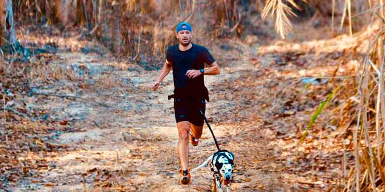Correr com cachorro: da corrida ao canicross
