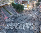 Plano de carreira em Y: quando investir em especialistas