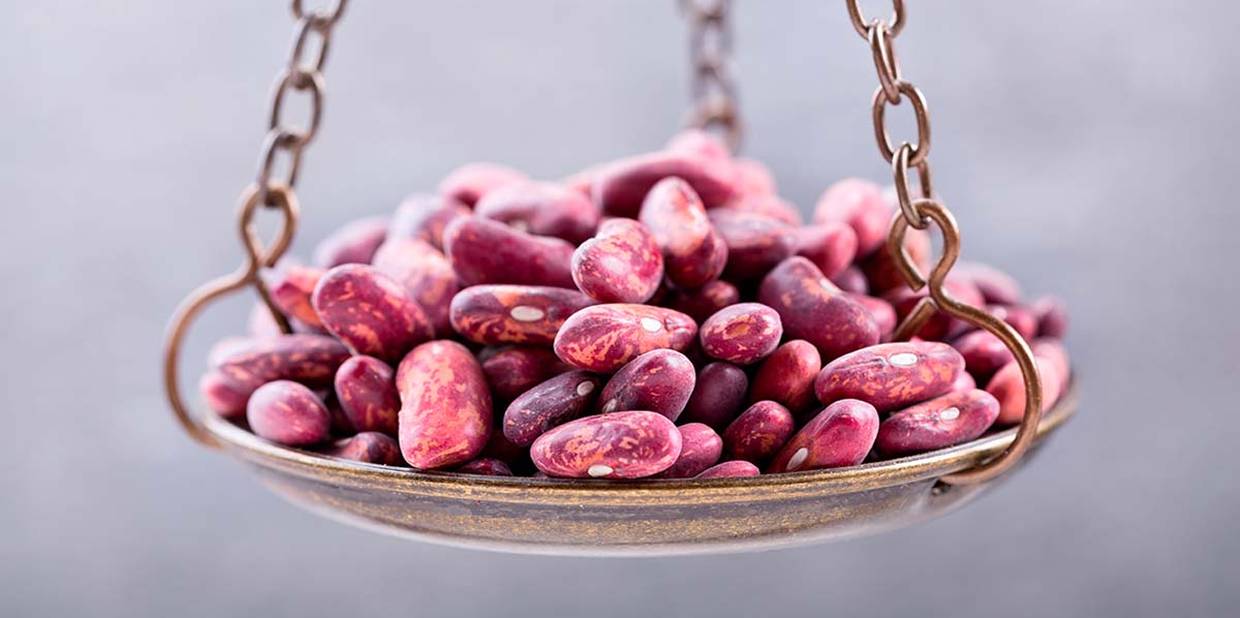 Ferritina baixa: por que não descuidar do consumo de ferro?