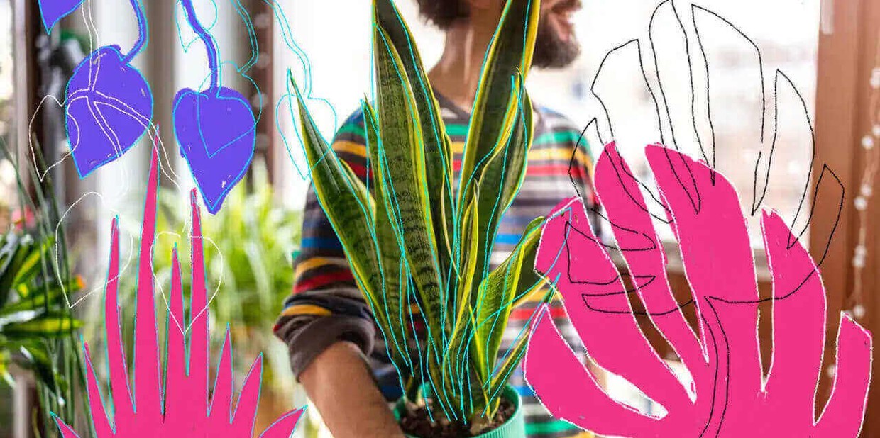 Cuidar de plantas beneficios saude