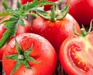Conheça os benefícios do tomate