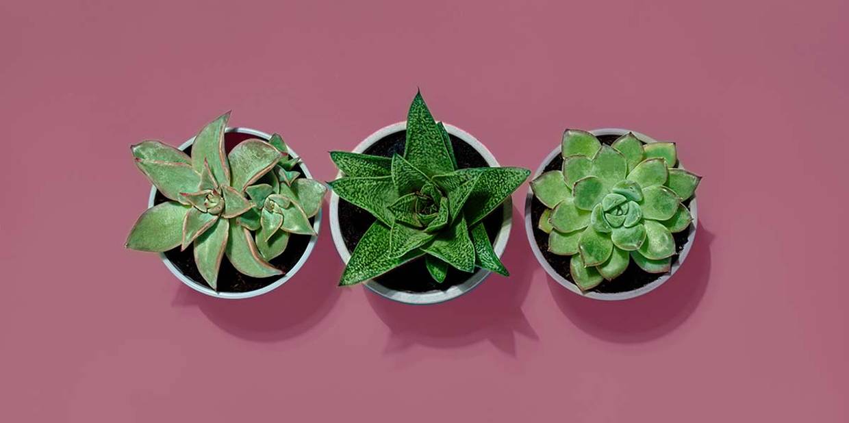 Como saber qual é a cobertura do seu Plano de Saúde?