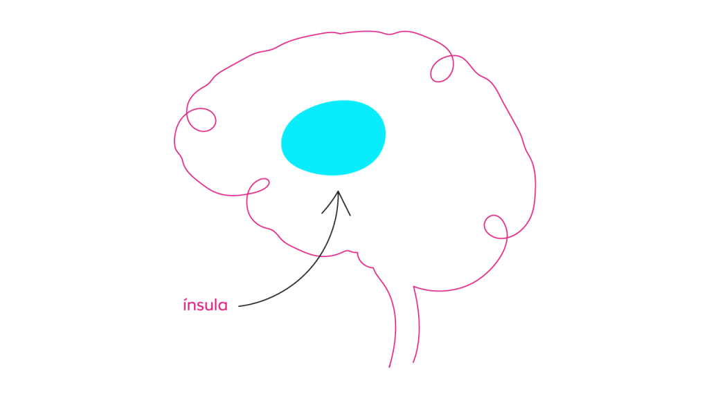 ilustração mostrando onde fica a ínsula no cérebro