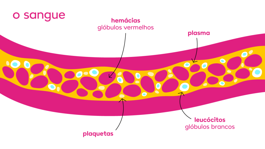 imagem ilustrando quais são os componentes do sangue