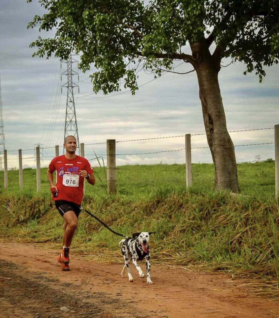 Canicross - pessoa correndo com seus cachorro