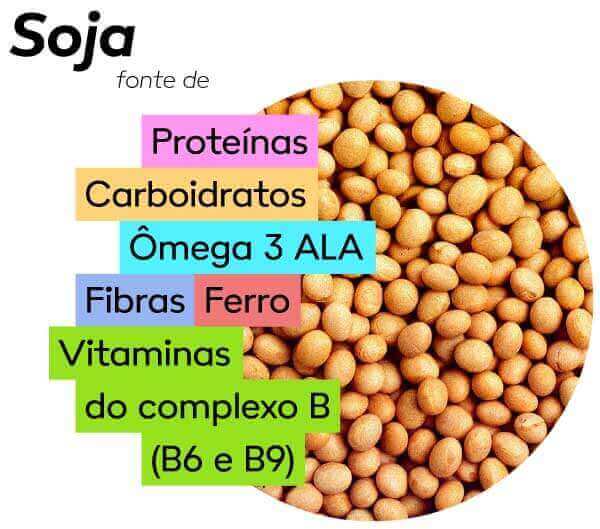 Composição nutricional da soja