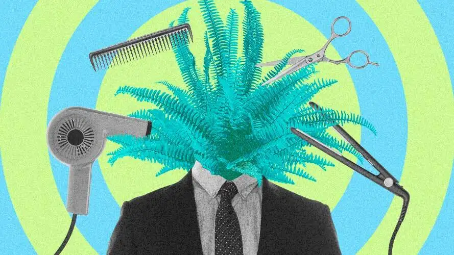 Queda de cabelo nos homens: calvície tem cura? Entenda