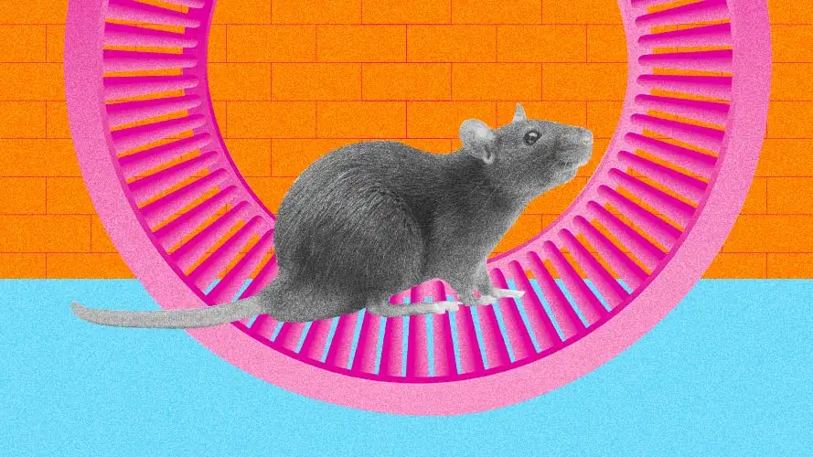 Exame ergométrico: o que é e quando fazer?