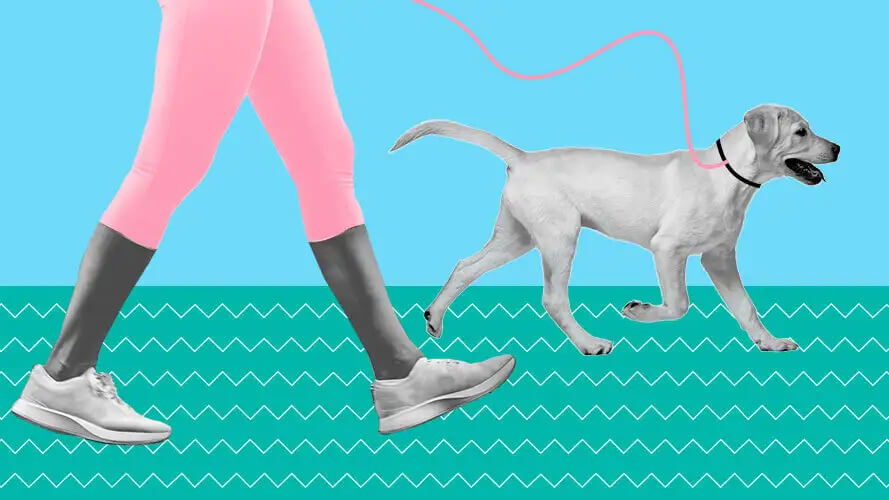 Os benefícios da caminhada para o corpo e a mente