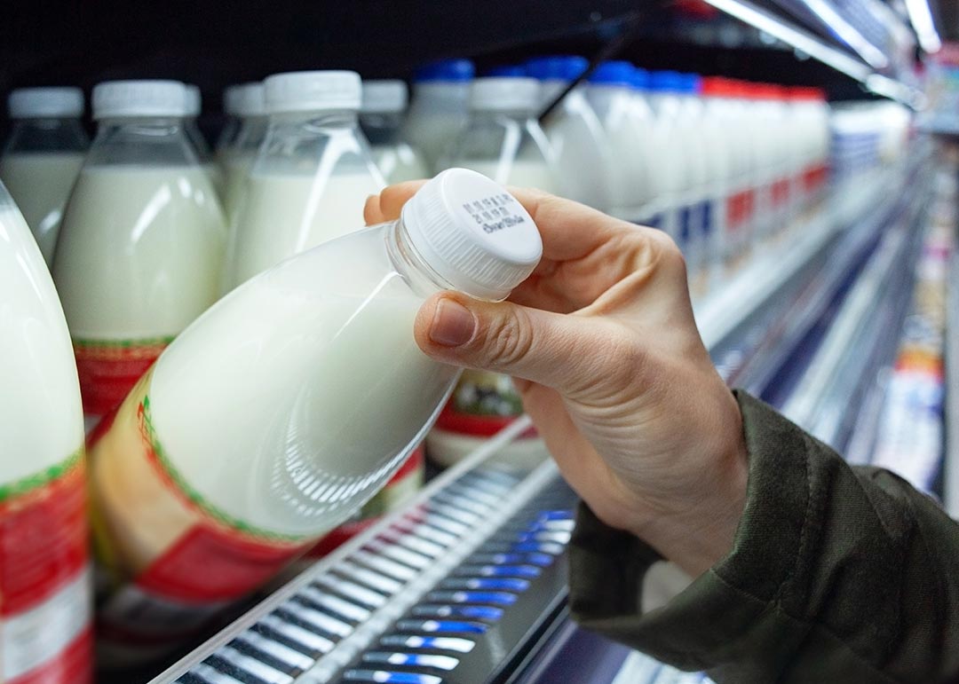 Conheça os principais tipos de leite {de vaca aos vegetais}