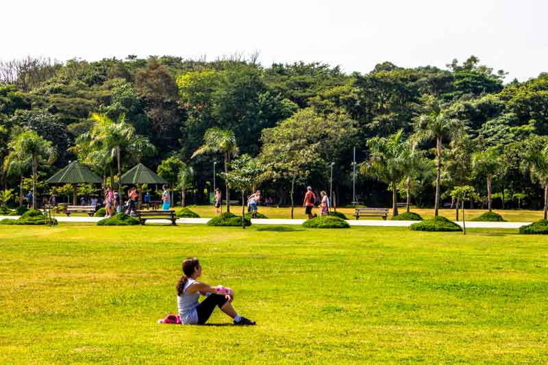 Imagem do parque Villa Lobos em São Paulo