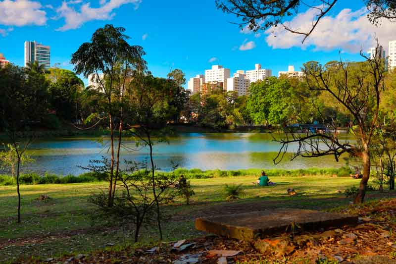 Imagem do parque da Aclimação em São Paulo