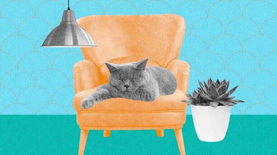 Qualidade do sono: o que é e como ter um sono saudável?