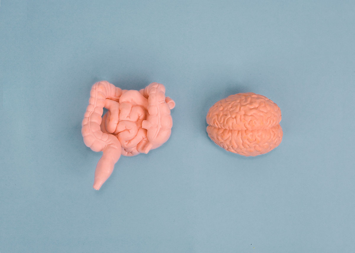 Intestino é um segundo cérebro? Veja o que a Ciência diz